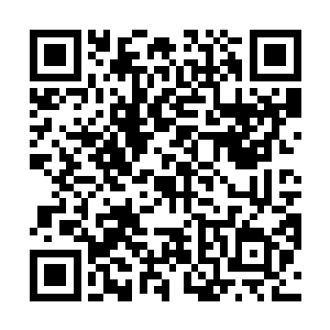 苗毅进入地狱以来就没见到过一颗适合人类居住的星球二维码生成