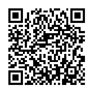 苗毅连同身后的千儿和雪儿一起瞪大了眼睛看着邬梦兰二维码生成