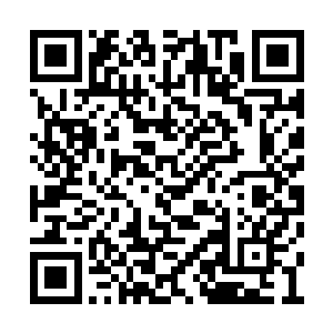 苗翠翠提来一双茶水间阿姨常穿的布鞋对曲歌说二维码生成