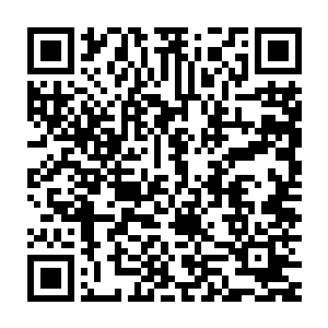 苗翠花已经推着她的小餐车转过街角进了她这个身体从小长大的地方二维码生成
