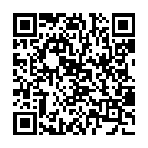 苗翠花笑眯眯的打量着这个一个多月没有来过的院子二维码生成