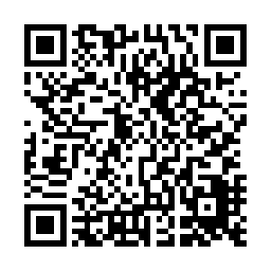 苟建新一边跟着贝海一边汇报着自己预计的工期完成的时间二维码生成