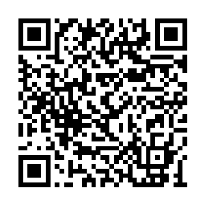 苟残喘……而我的家人……他们只要跟我在一起二维码生成