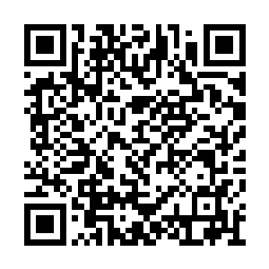 苟盛和方伟两人即便是将吃奶的力气都拿出来了二维码生成