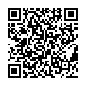 若不是他发现了云家伯祖父的动向并及时告知太爷爷二维码生成