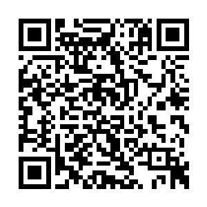 若不是他在关键时刻催动元力护住了身上的要害二维码生成