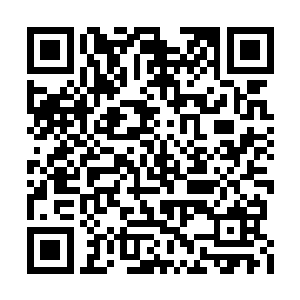 若不是刚才无意间触动土之意境引动大地的力量二维码生成