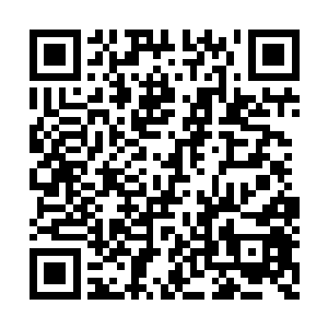 若不是前面有叶尊表现出无双的战力击败颜啸离二维码生成