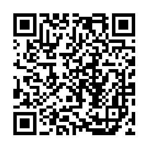 若不是叶尊的摄魂斩刚好对这样的攻击有一定的克制能力二维码生成