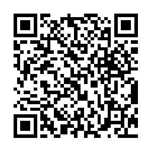 若不是叶然的那一声震颤人心神的喝声及时让他们清醒过来二维码生成