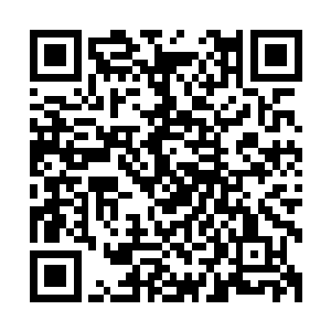 若不是她不甘心想要靠着墨景黎重新获得比当初更尊贵的身份二维码生成