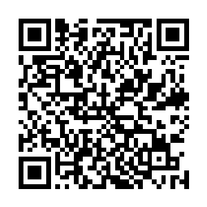 若不是她带着面纱只怕在场的人都会为她狰狞的神色而吓到二维码生成