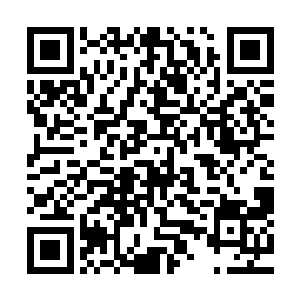 若不是当初你愚笨到把你和兴王二人来往的书信都拿给本宫看二维码生成