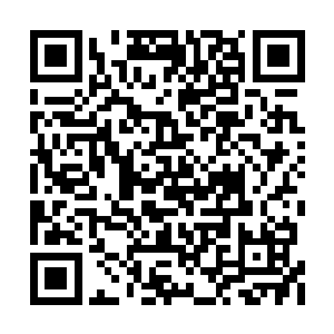若不是担心打断她的琴声会让水丘红她们醒过来二维码生成