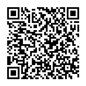 若不是有轮回塔hun沌鼎和破禁珠三件至宝全力压制他身上的气息的话二维码生成