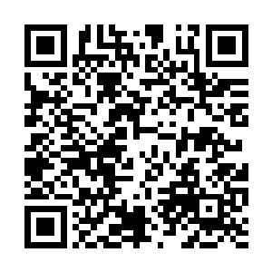 若不是有须菩提和老君护着恐怕早早地就被淘汰了二维码生成