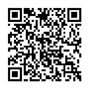 若不是杜文书言之凿凿的说金银就藏在菜园子里二维码生成