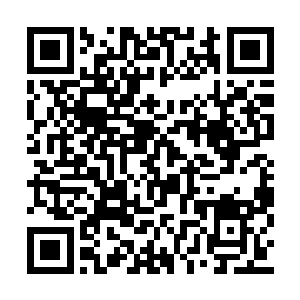 若不是杨开几十年前从墨族这边带回来大批物资二维码生成