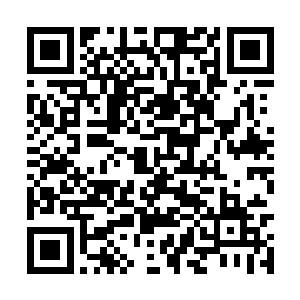 若不是步家也刚好不愿把宝都押在一个四皇子身上二维码生成