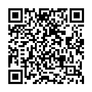 若不是那战兽不愿意离开三色生命花被其他战兽占了便宜二维码生成