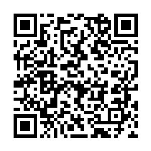 若不是鉴定师信誓旦旦的说是一部残缺的古老功法二维码生成