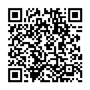 若不是靠着那不知道什么材质制成的小小的铜鱼二维码生成