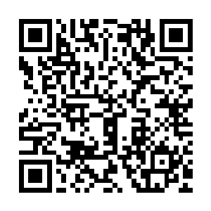 若不是龙傲天战斗的时候刻意的帮他们挡住了大部分的力道的话二维码生成