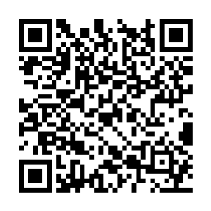 若不是龙傲天的修为已经达到了神劫的临界点的话二维码生成
