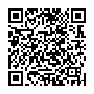 若不然像卢苇和九离也不会发现他们附近多了一个新邻居二维码生成