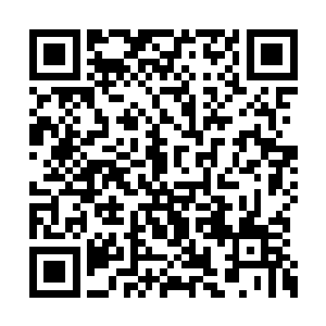 若不然她也不会毅然决然地放弃那般完美的婚姻二维码生成