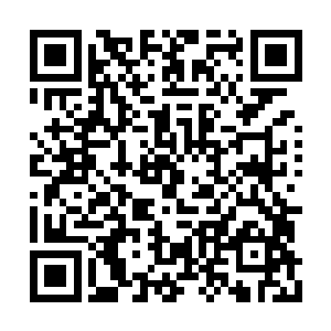 若仅仅凭着通缉令上那些含糊不清的信息找到他二维码生成