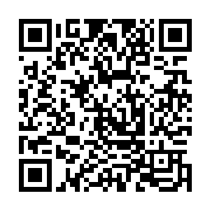 若到时候青阳洞又像九天玄雷共凝那般遭到毁灭性打击的话二维码生成