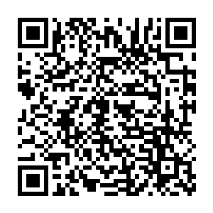 若只是一件极品法宝本来还不足以让我们倾尽全宗之力与海族拼命二维码生成