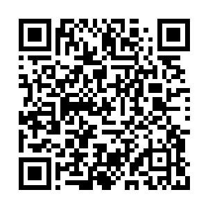 若叶星和韦轻萱果真是遇到了东扶国武圣的袭击二维码生成