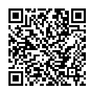 若叶星连边楚生等四个七重初期的武道大师都对付不了二维码生成