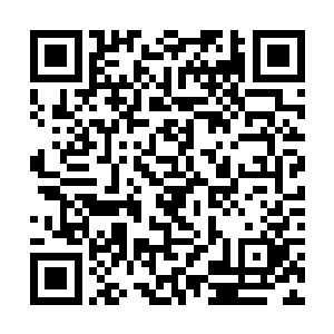 若在他恢复意识的第一眼看到的却是杜遥的尸体的话二维码生成