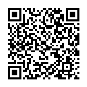 若始终只是针对万艳百花楼一案涉案目标下手……朕二维码生成