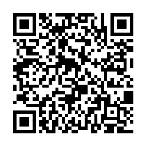 若巫咸门掌教因为他在五行果大会上的不敬挑衅行为二维码生成