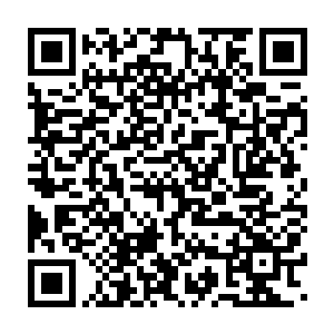 若想避开白灵道人最好办法就是不要拜入他门下……可是拜谁为师呢二维码生成