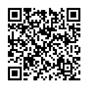 若是一个不小心磕掉了自己的牙那可就得不偿失了二维码生成