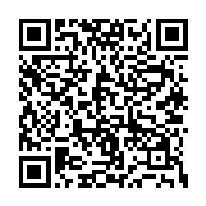 若是一个人深入苍海冰原的话也绝对是九死一生二维码生成