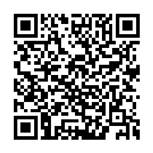 若是一味的寻求修为上的快速突破导致底蕴太浅二维码生成