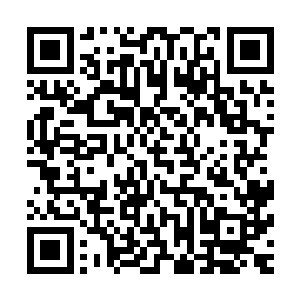 若是一般情况的话在这种地方发现一个玉瓶并不算什么稀奇的二维码生成