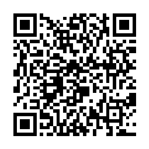 若是七王子真的做出了什么保证他们晋升神王的保证二维码生成