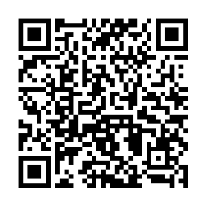 若是不小心中了这样的神通……杨开想想都不寒而栗二维码生成