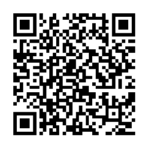 若是不成功……老天爷就未免对他太苛刻了……二维码生成