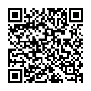 若是不放他出来恐怕会真的如他所说的那样被困在棺中无数年二维码生成