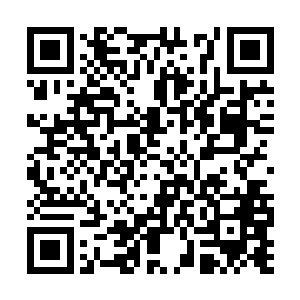 若是之前他对剑尘是月神弟子的身份还是怀疑的话二维码生成