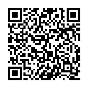 若是之前她们还在怀疑武清伯府在自吹自擂的话二维码生成