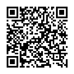 若是从实力来说现在的小松鼠已经是比夏天更高了二维码生成